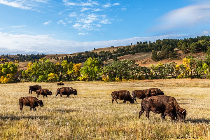 11 Hal Yang Menempatkan South Dakota di Peta 